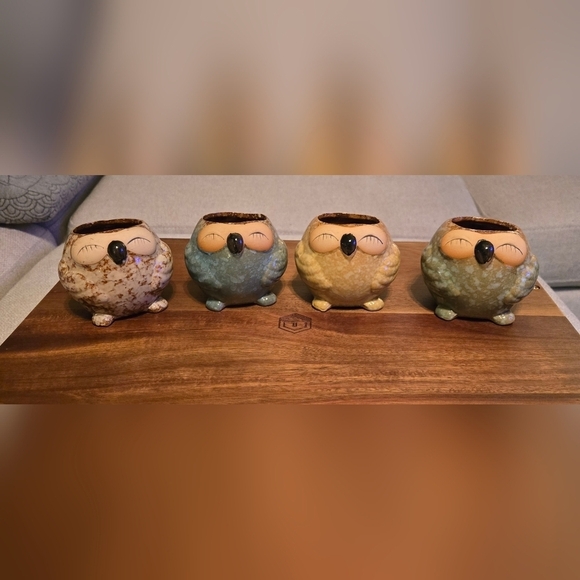 NWOT | Adorable Ceramic Owl Succulent Planter Pots | Set Of 4 | Drainage Holes - Picture 11 of 16